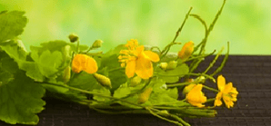 Fiori puliti